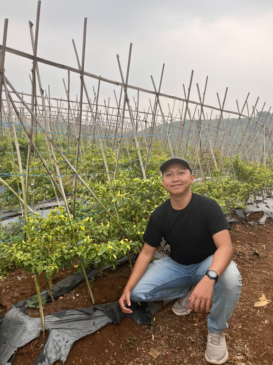 Produk 38