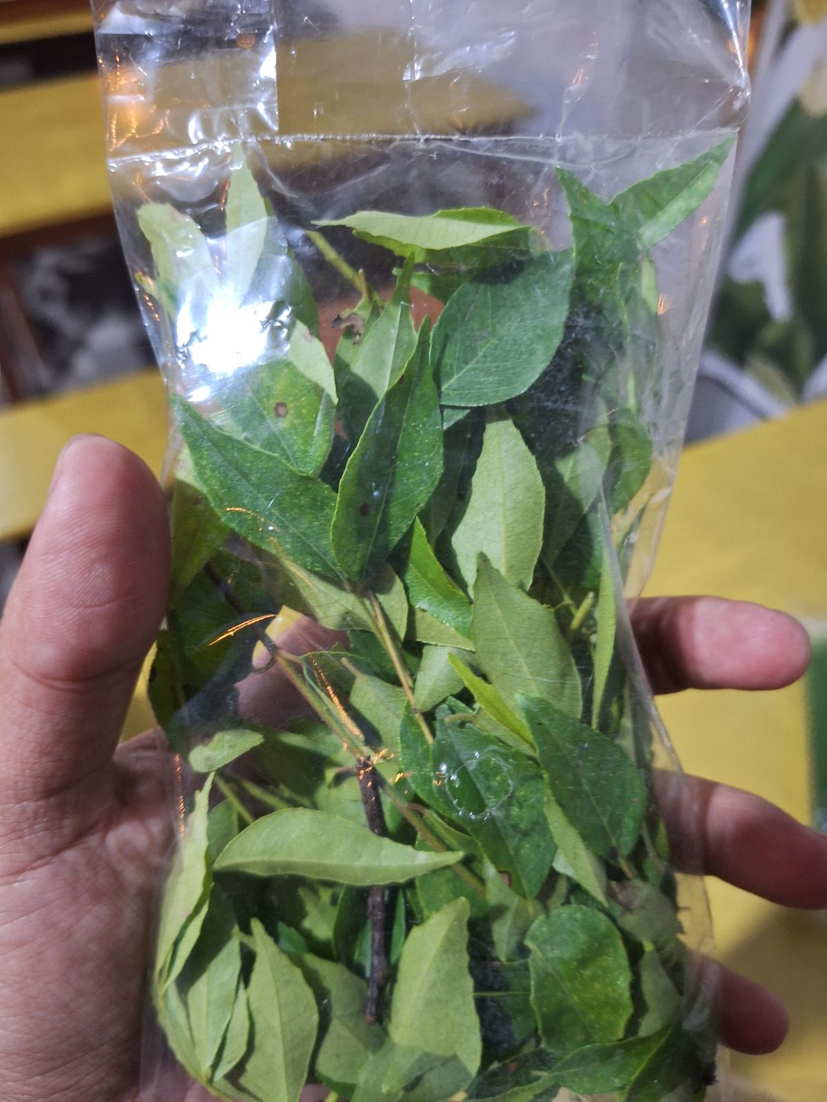 Produk 12